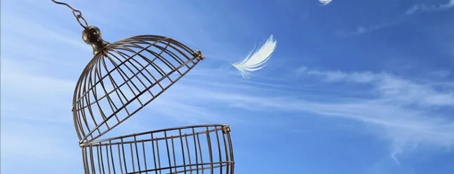 El Liberalismo vs. el Socialismo. La gran incongruencia...