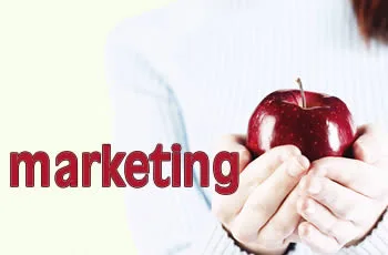 EVOLUCION DEL MARKETING Y SU ESTRUCTURA… 6ta etapa.