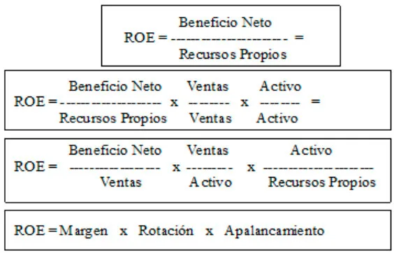 Otras formas de calcular el ROE