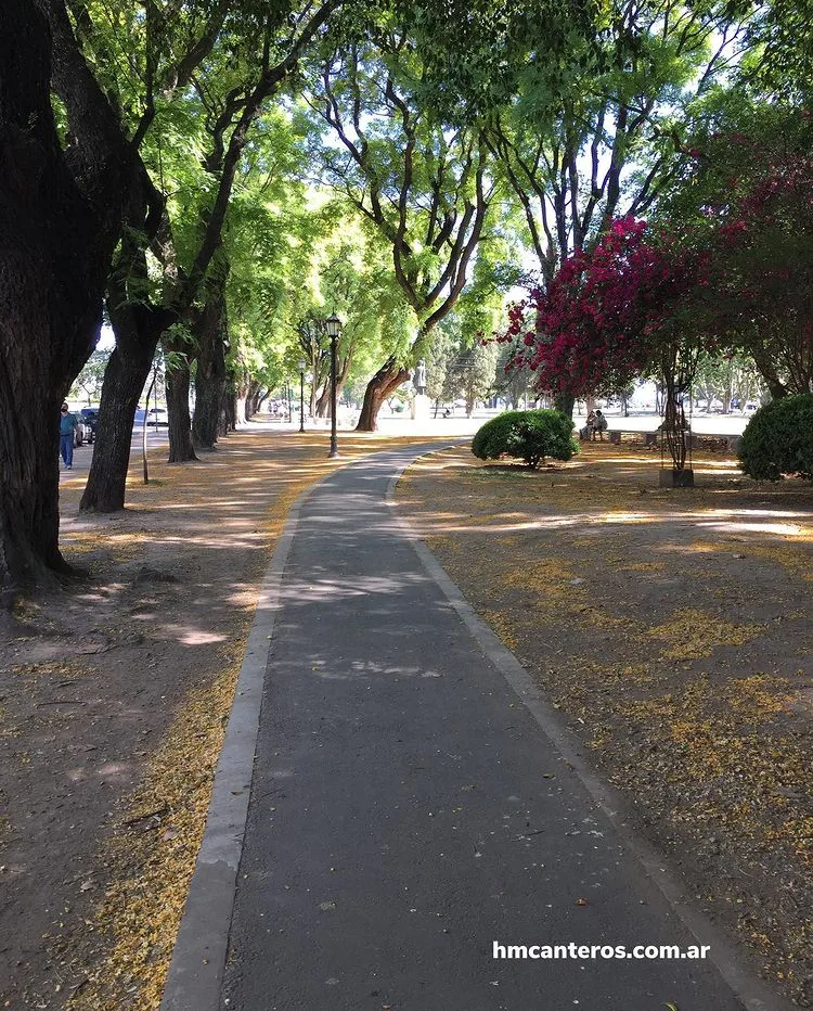 Tantos caminos por recorrer, y tan poco tiempo...